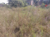 Land sell in mirpur kaundia
